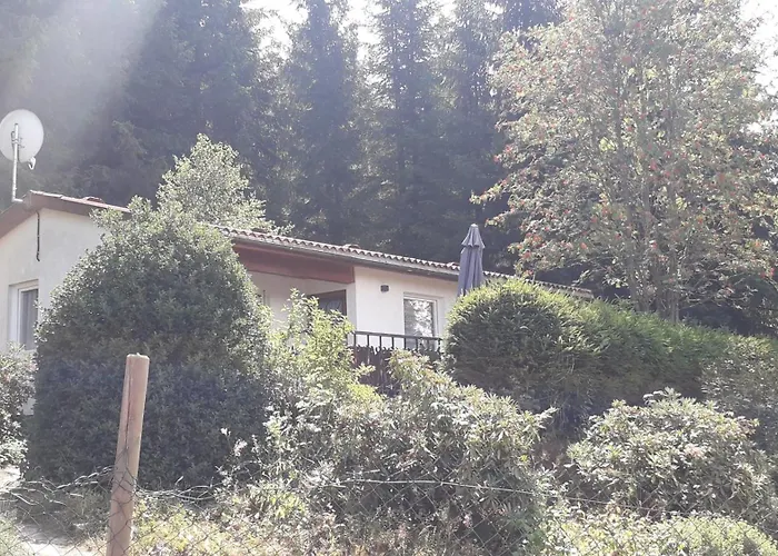 Am Rennsteig Tatil Evi Goldisthal